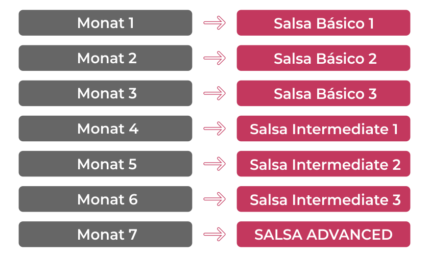 Dein Weg zum Salsero Pro Diplom Dein Weg zum Salsero Pro Diplom